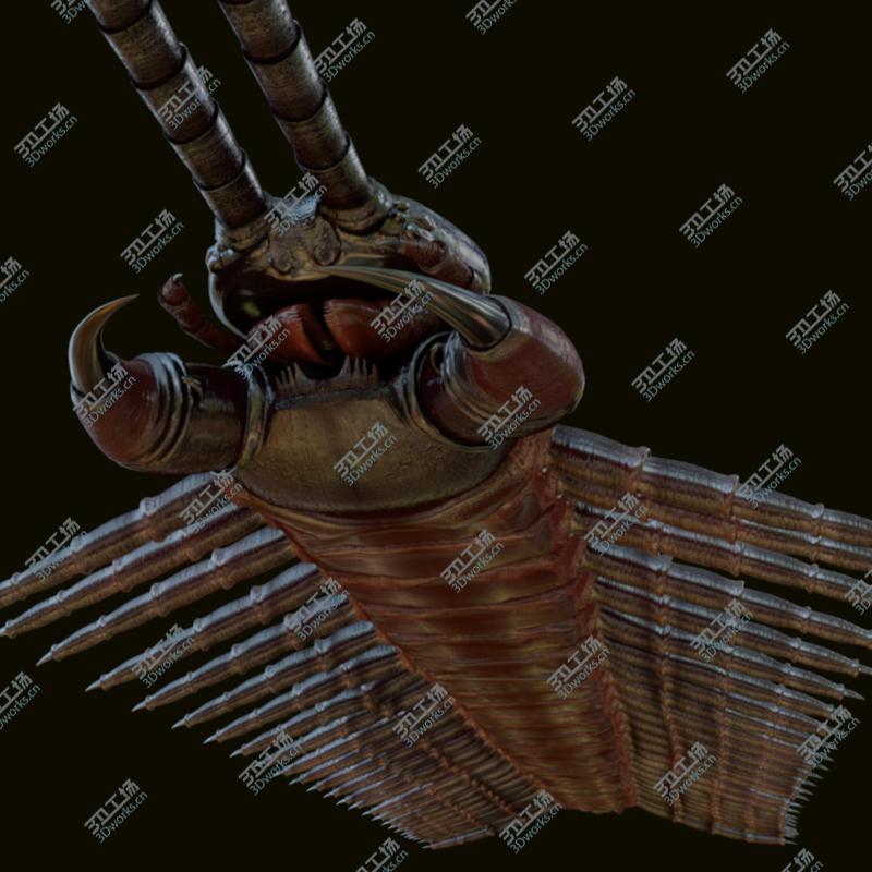 images/goods_img/202105073/3D Centipede/2.jpg